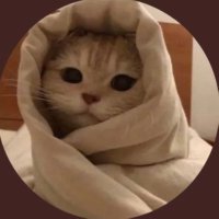 apne ko kya (@ll_midge_ll) 's Twitter Profile