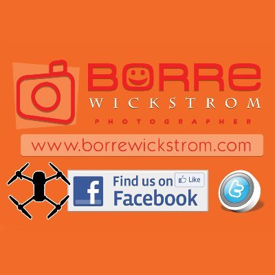 BorreWickstrom Profile Picture