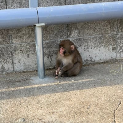 https://t.co/8h3sKceq5Q Touches the Walls大好き♡ライブたくさん出没するよ\( Ö )/ ヴェゼル納車待ち契約R3.12、納車予定当初7月予定→R5.3生産予定
