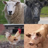 Animal Health Network(@AHN_GRA) 's Twitter Profile Photo