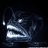 oNftTr's profile image