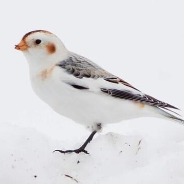 Justape42145778's profile picture. 👀