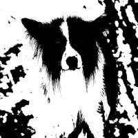 Marcopat (@marcosuperpat) 's Twitter Profile