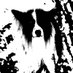 Marcopat (@marcosuperpat) Twitter profile photo Marcopat (@marcosuperpat) Twitter profile photo