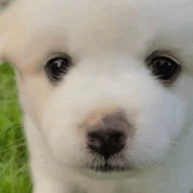 구さんのプロフィール画像