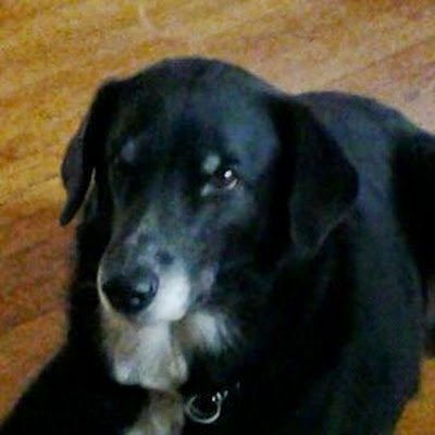FranTay93452405's profile picture. 