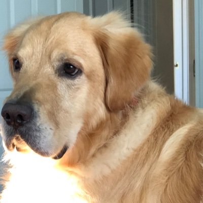 TeddyRi98161013's profile picture. 