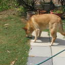 Barbara Paton - @Barbijay - Twitter