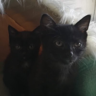 RalfWolny's profile picture. 