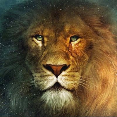 tscottg76's profile picture. Tech consultant and egg roll aficionado