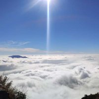 Sayandeep Dutta (@sayandeep_d) 's Twitter Profile