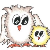 The Nest - Reception/Nursery unit(@owls_stlaws) 's Twitter Profile Photo