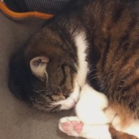 😪 (@mgc3957) 's Twitter Profile Photo 😪 (@mgc3957) 's Twitter Profile Photo