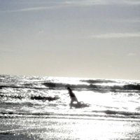 Daniel (@daniel2lainfo) 's Twitter Profile