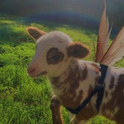 jedさんのプロフィール画像
