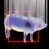 CryptoSteve (@taylorst8) 's Twitter Profile Photo CryptoSteve (@taylorst8) 's Twitter Profile Photo