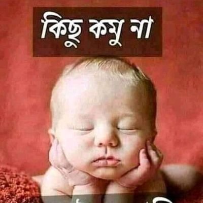 Alamin498's profile picture. 💯💯 Follow Me🥰💯 100% Follow Back You💯💯💯💯 #BTC #Crypto #ETH #Airdrop💯💯💯💯