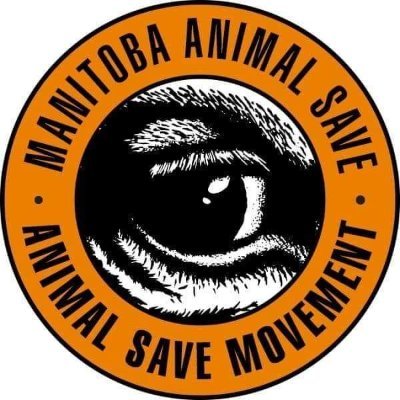 Manitoba Animal Save is part of the global animal rights network, The Save Movement. We hold vigils at slaughterhouses to bear witness and offer love to animals