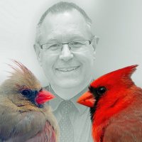 Marc Lachance (@marcotheluck) 's Twitter Profile Photo