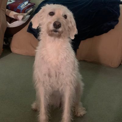 njohn27's profile picture. 