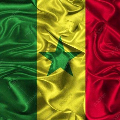 diallotech882's profile picture. La vérité , la justice , se battre au côté des faibles ;ça c'est moi