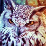 Mavric (@mavricleh) 's Twitter Profile