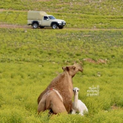 سبحان الله وبحمده سبحان الله العظيم❤️