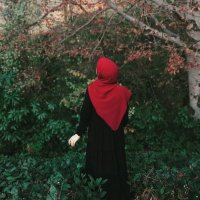 Ceyda TOPAL (@sozucebinde) 's Twitter Profile