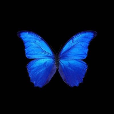 The most stigmatised mental illness which needs so much more awareness. As a BPD sufferer, i will post as much as i can to give us a voice & hope; 🦋🦋 #BPD
