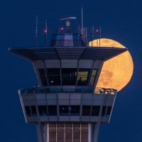 Sbnblu 🍉💔🐢 (@sbnblu) 's Twitter Profile