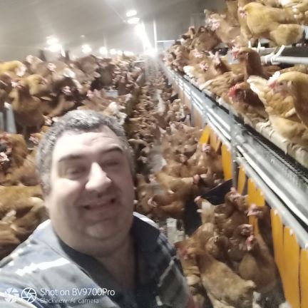 Husband , Father ,Farmer, Hereford Cattle, Nelson sheep and a few Free Range Hens. Diversifrying on a right angle learning curve!