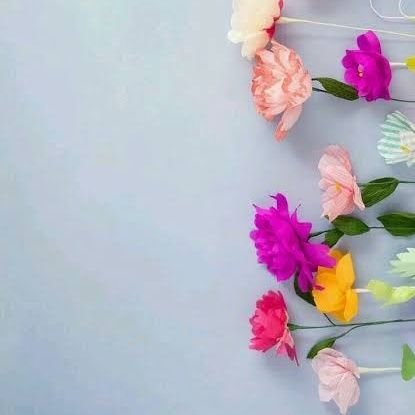 A2020Rdz's profile picture. 