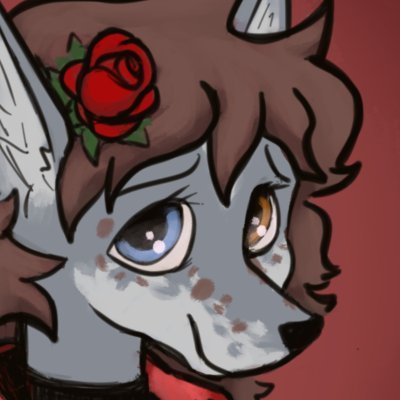 CheetahAtDarkさんのプロフィール画像