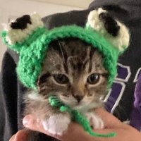 Qwobby (@qwobby3) Twitter profile photo