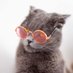 Volendemort (@volendu) Twitter profile photo Volendemort (@volendu) Twitter profile photo