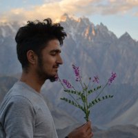 Rashid Designs (@muhamma05338204) 's Twitter Profile