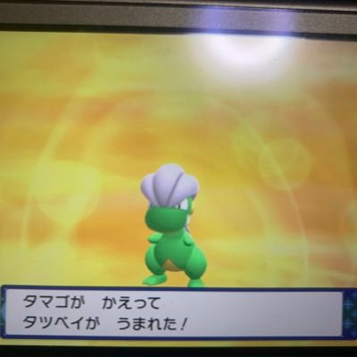 ありす 理想個体値配布 Alice4atsumori Twitter