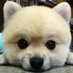 Fer (@fer70356399) Twitter profile photo Fer (@fer70356399) Twitter profile photo