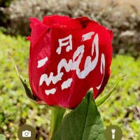 فطوم ✈️🌹 (@fatoma_000) 's Twitter Profile