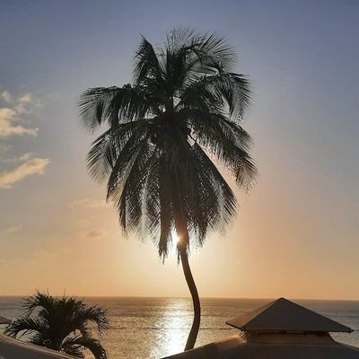MatiassNetwork's profile picture. Anticiper, prévoir, organiser : la base.