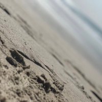 Saliue (@saliue4) 's Twitter Profile
