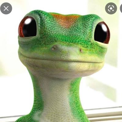 I stan the Geico lizard