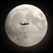 wayjimchen's profile picture. wuhu