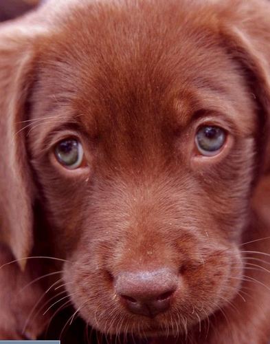 EVHS_Bartow's profile picture. EVHS exists for the purpose of preventing cruelty to, relieving the suffering of, and providing humane treatment for animals in need.