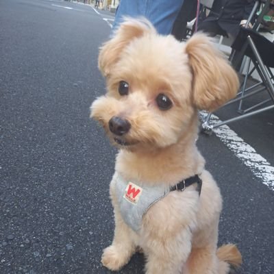 幸福の科学(三帰誓願者)。
令和5年、9月の検査で(尿素窒素が199)( ̄□ ̄;)!!1日も早く透析をと言われたが紹介された病院でベッドが一杯と断られる。……一刻有余も無いのに、自分で治そうと決意。生きる意味合いがなくばあの世に行くだろう~その時は潔く諦めよう😢と覚悟を決めました‼️