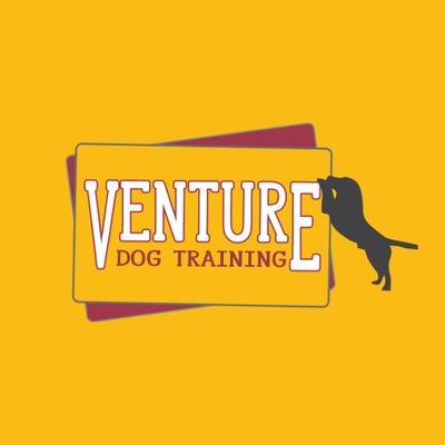 I help people train and modify behaviour in their dogs using effective reward based techniques.