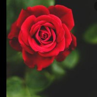 معلمة مجال أول (أم أجمل بنوتات ) (@lmt_am) Twitter profile photo