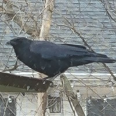 tombootsmiller's profile picture. Father of three boys and future daughter in law🙂