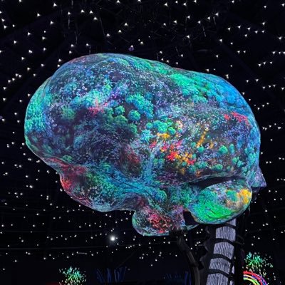 PureC777's profile picture. 
