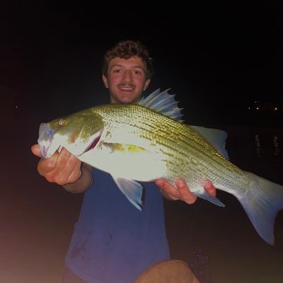 DDefterios's profile picture. BL 20